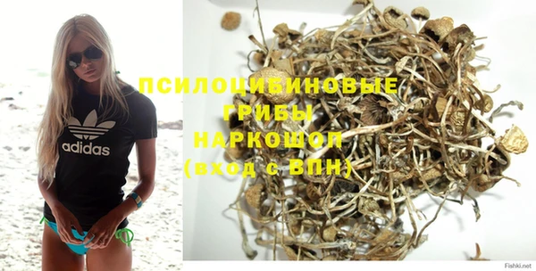 гашик Бутурлиновка