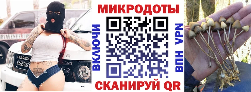 Галлюциногенные грибы прущие грибы  Западная Двина 