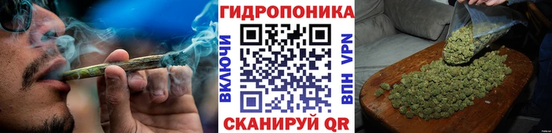 Бошки марихуана конопля mega маркетплейс Западная Двина